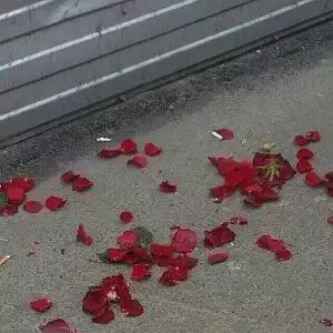 女生用手会不会导致不孕不育呢(13)