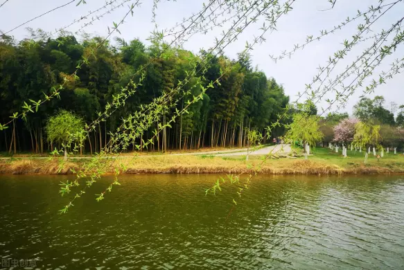 当自己的命运被别人掌控时会怎么样呢作文(2)