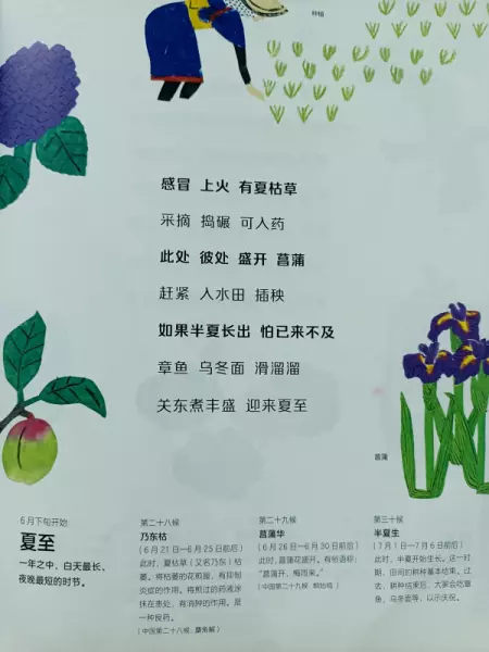 二十四节气分别是哪些节气(10)