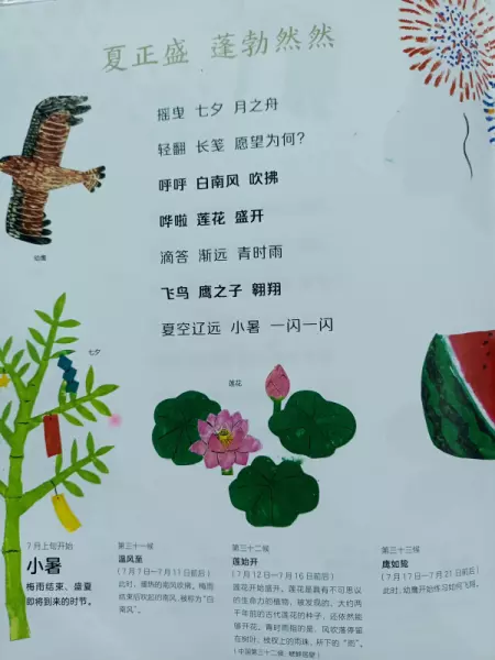 二十四节气分别是哪些节气(11)