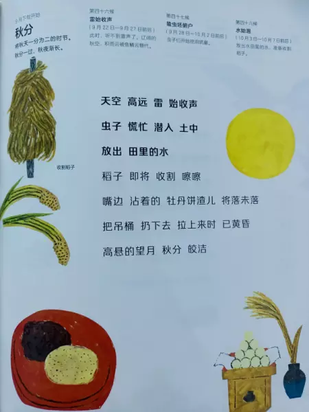 二十四节气分别是哪些节气(16)