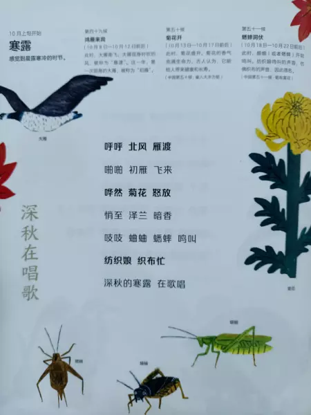二十四节气分别是哪些节气(17)