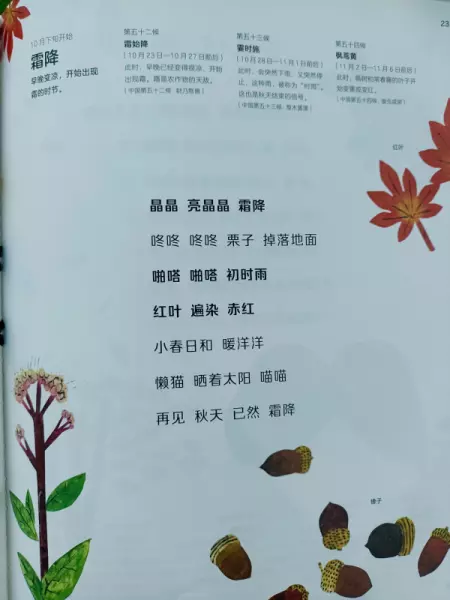 二十四节气分别是哪些节气(18)