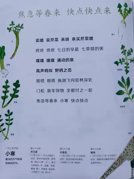 二十四节气分别是哪些节气(23)