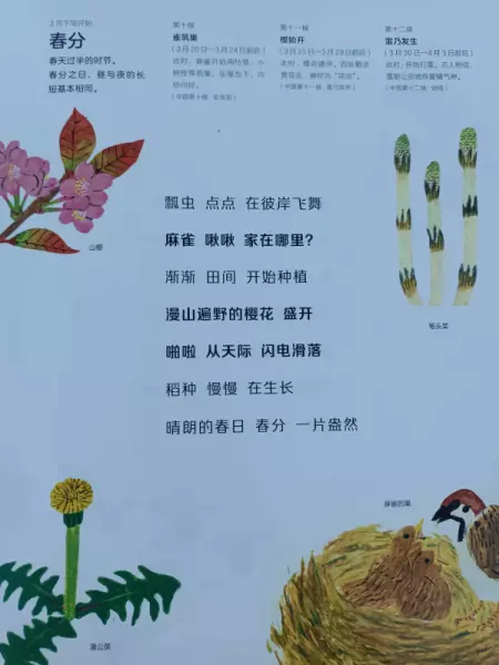 二十四节气分别是哪些节气(4)