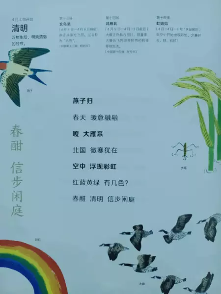 二十四节气分别是哪些节气(5)