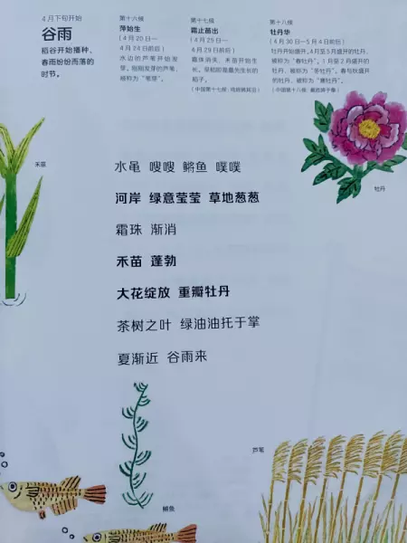 二十四节气分别是哪些节气(6)