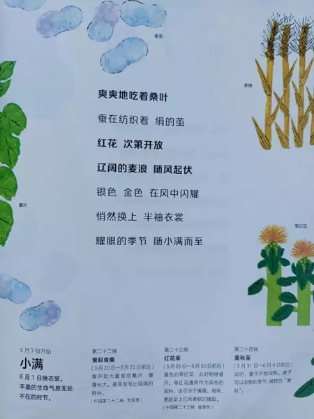 二十四节气分别是哪些节气(8)