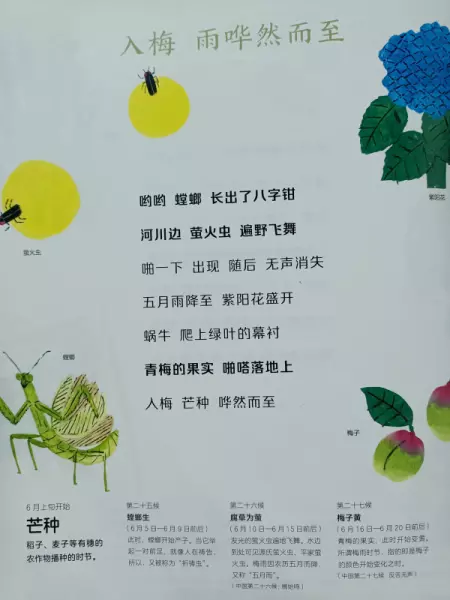 二十四节气分别是哪些节气(9)