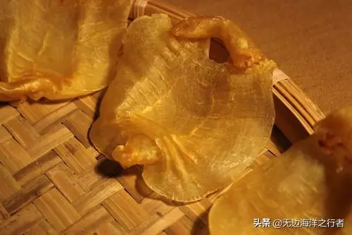 鳘鱼鳔的功效与作用是什么(1)