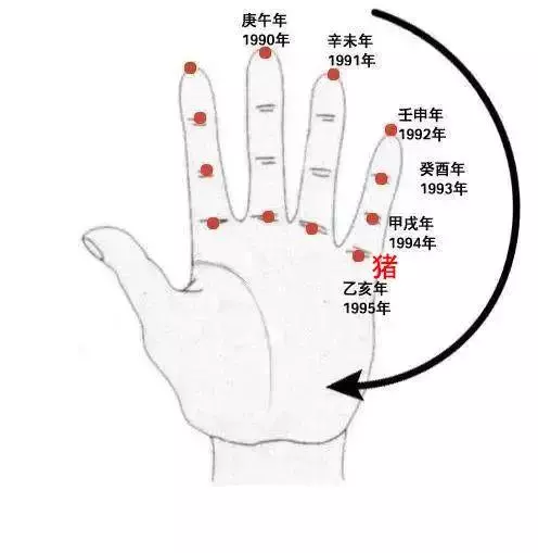 属相如何推算出生年份的命运好坏程度(13)