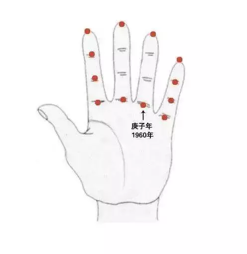 属相如何推算出生年份的命运好坏程度(5)