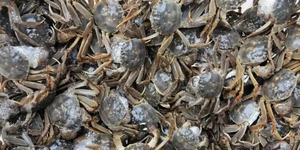 津m是哪里的车牌号码哪个区(19)