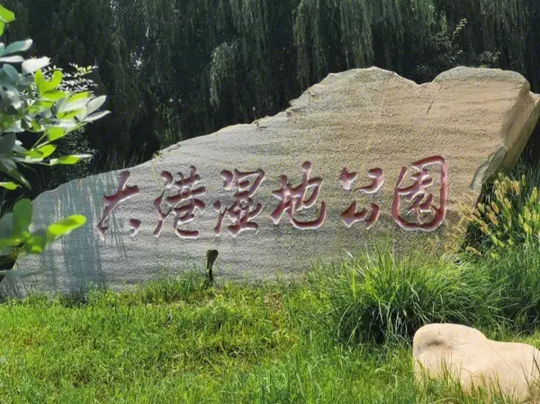 津m是哪里的车牌号码哪个区(8)