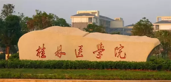 桂林医学院赵超超教授(1)