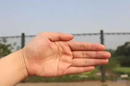 男人手掌中间有一条横纹代表什么命运图解(1)