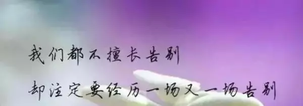 我们无法预测明天和意外哪个先来(1)