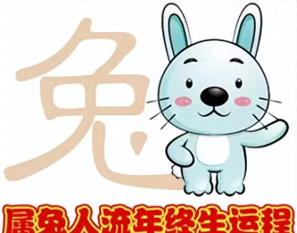 2022年兔年运势在事业上可提升吗(1)