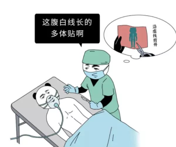 女人肚子上有两条竖线代表什么命运图解(13)