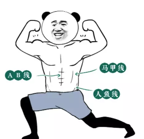 女人肚子上有两条竖线代表什么命运图解(17)