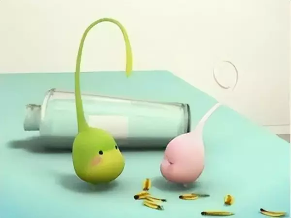 豆儿系列动画有多少集(2)