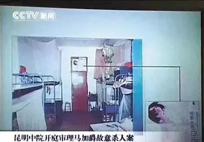 龚博父母建议马加爵的父母(27)