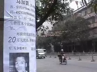 龚博父母建议马加爵的父母(31)