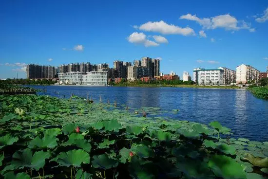波宁万里 海定悬风什么意思(11)