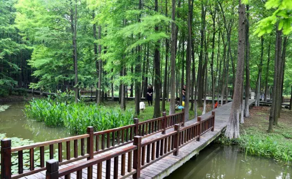 波宁万里 海定悬风什么意思(14)