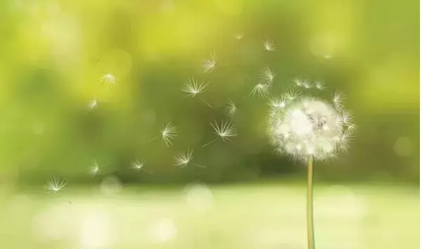 天选的男人总是逃不过命运的安排(3)