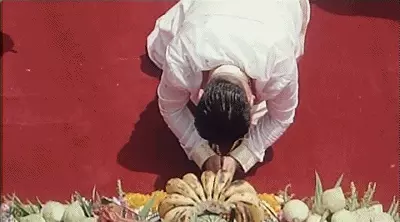 蒋天生与蒋天养什么关系(9)