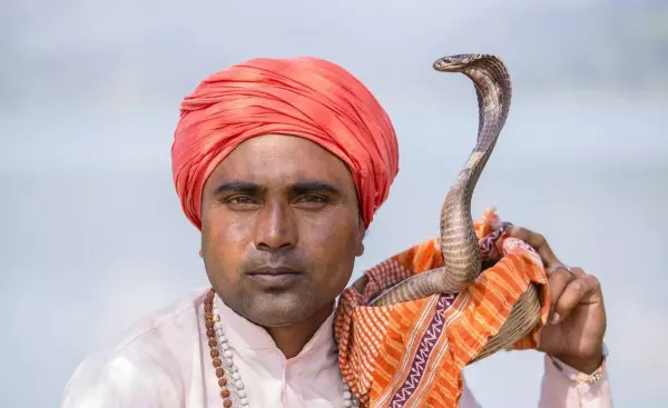 男的做梦梦到蛇好不好(2)