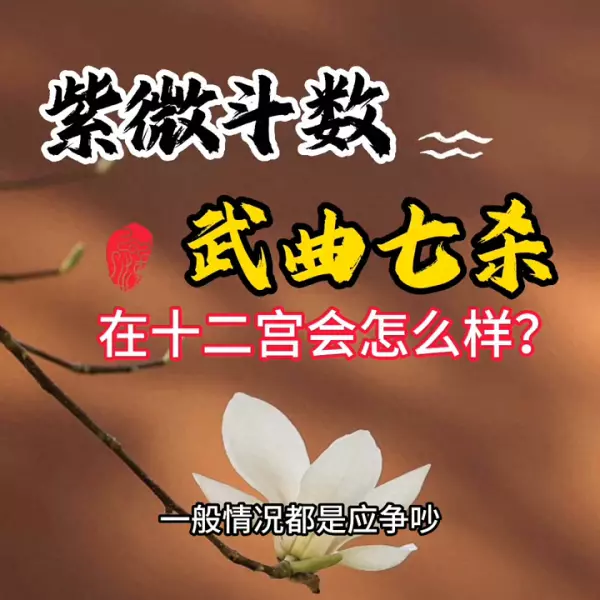夫妻宫武曲七杀变动是什么意思(1)