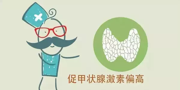 促促甲状腺激素偏高是什么意思(1)