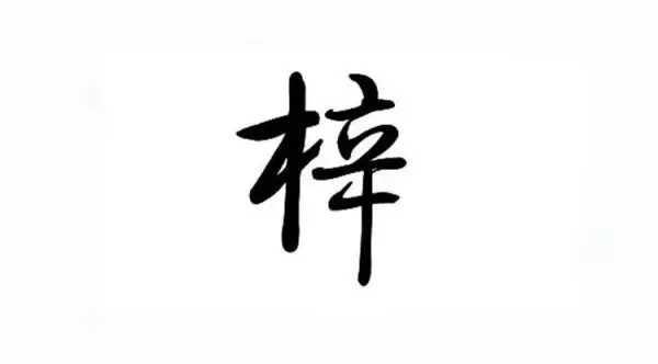 梓字取名的寓意好不好(1)