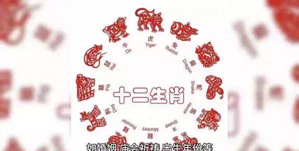 生肖排名第6是什么生肖(1)