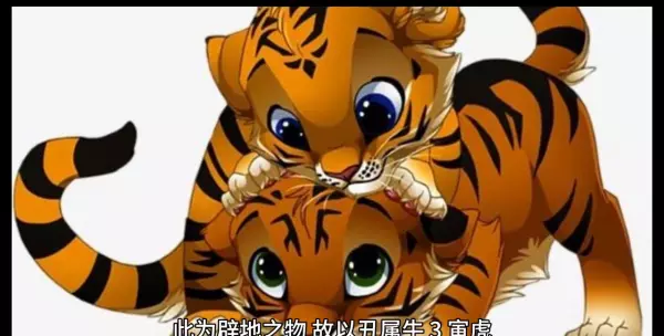 生肖排名第6是什么生肖(3)