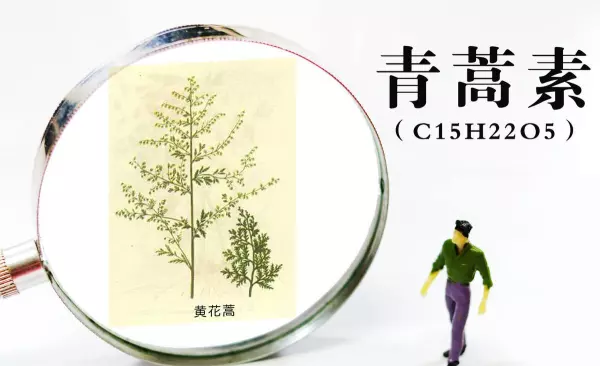 这是我的生辰八字请大神给算算命(5)