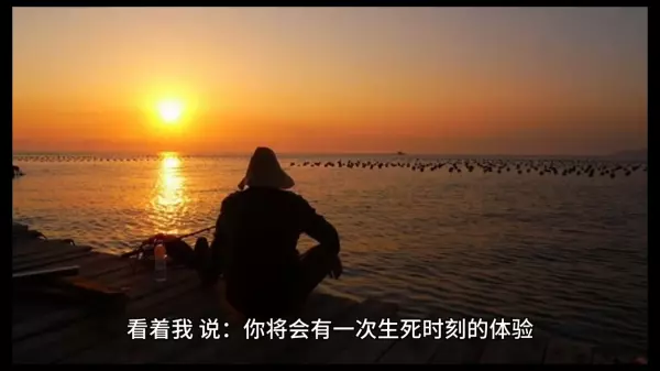 鹿泉李村附近有个翻牌算命的在那(3)