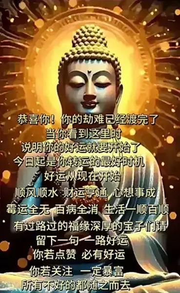 属狗的未来十年大运属狗人未来十年运势预测(1)