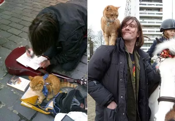 流浪猫改变街头卖唱者命运的故事(3)
