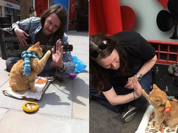 流浪猫改变街头卖唱者命运的故事(6)