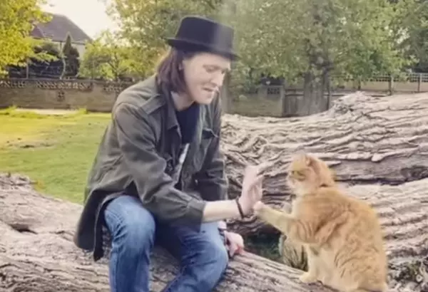 流浪猫改变街头卖唱者命运的故事(8)