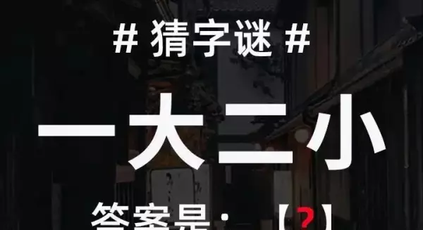 自己打一字谜底答案大全(1)