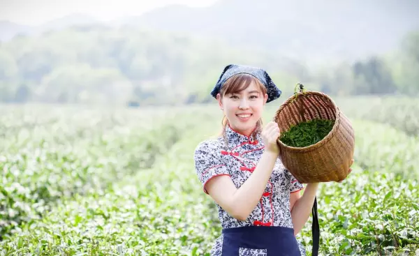 2021年牛年有好运势的四大生肖是那几个(1)
