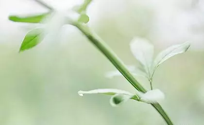求各位大师算算我的生辰八字如何(1)