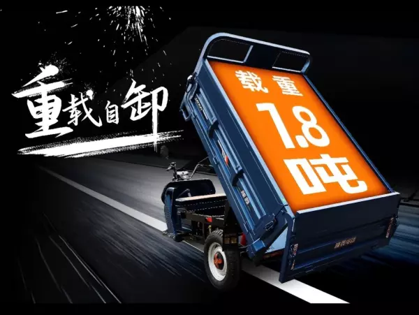 隆鑫三轮车250型2米6价格(2)
