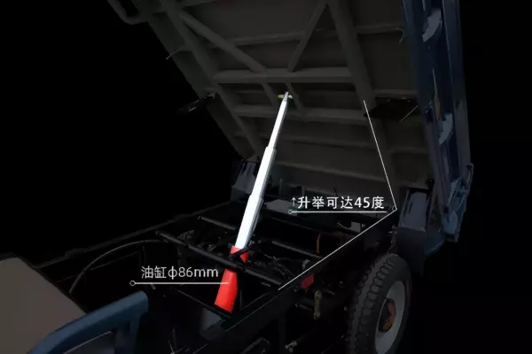 隆鑫三轮车250型2米6价格(3)