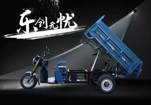 隆鑫三轮车250型2米6价格(4)