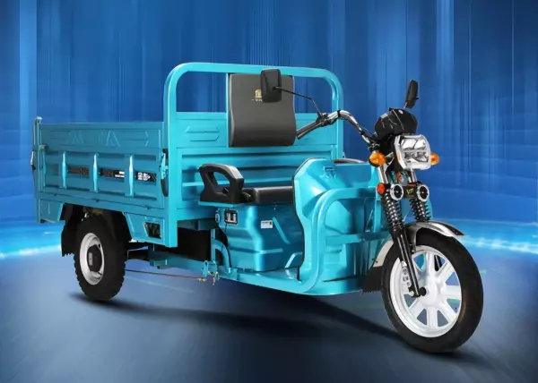 隆鑫三轮车250型2米6价格(5)